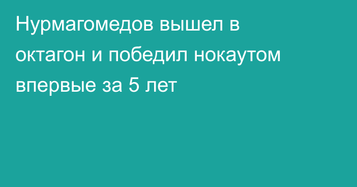 Нурмагомедов вышел в октагон и победил нокаутом впервые за 5 лет