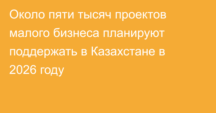 Около пяти тысяч проектов малого бизнеса планируют поддержать в Казахстане в 2026 году