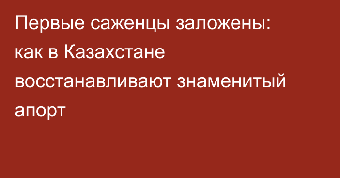 Первые саженцы заложены: как в Казахстане восстанавливают знаменитый апорт