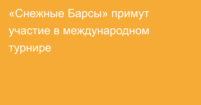 «Снежные Барсы» примут участие в международном турнире