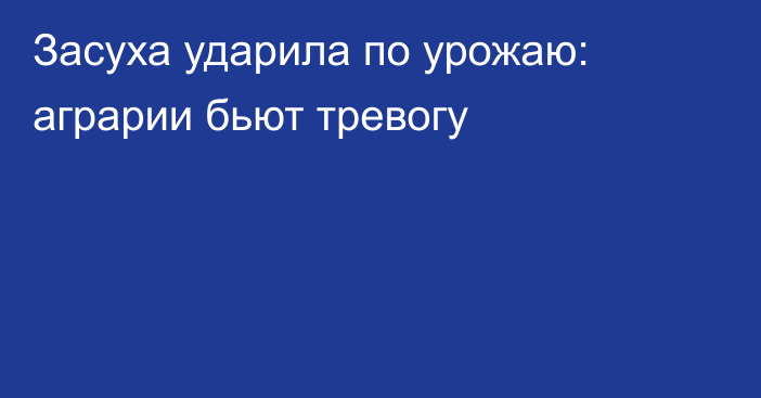 Засуха ударила по урожаю: аграрии бьют тревогу
