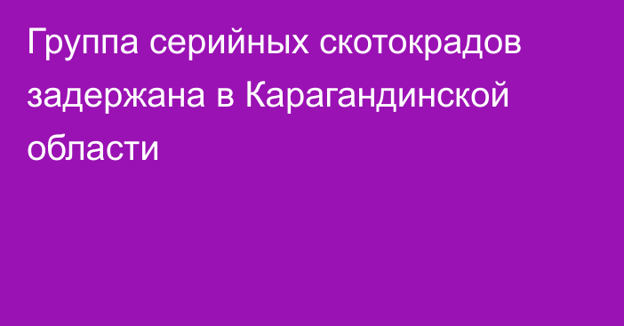 Группа серийных скотокрадов задержана в Карагандинской области