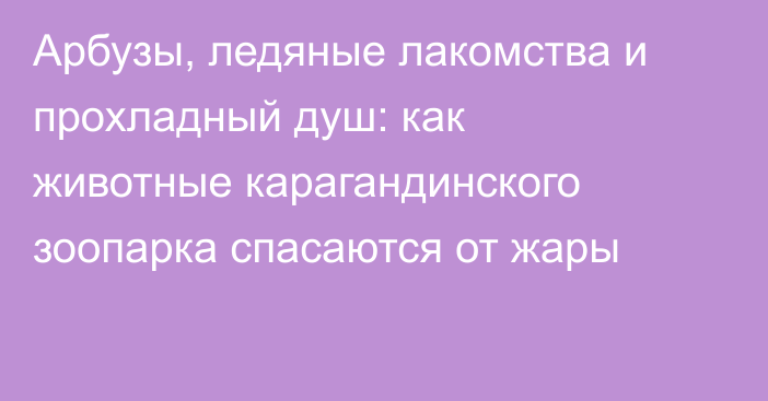 Арбузы, ледяные лакомства и прохладный душ: как животные карагандинского зоопарка спасаются от жары