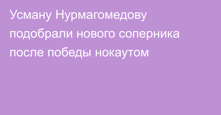 Усману Нурмагомедову подобрали нового соперника после победы нокаутом