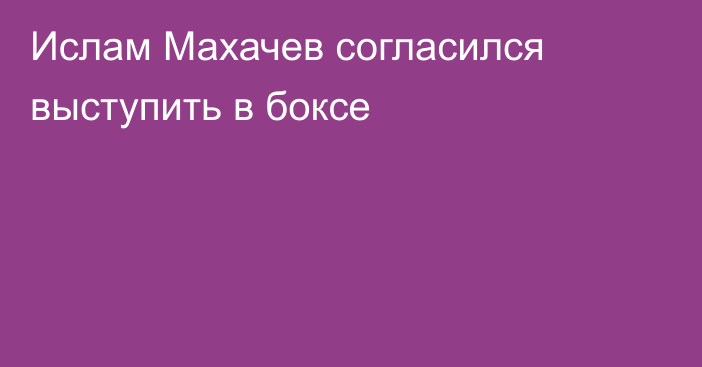 Ислам Махачев согласился выступить в боксе