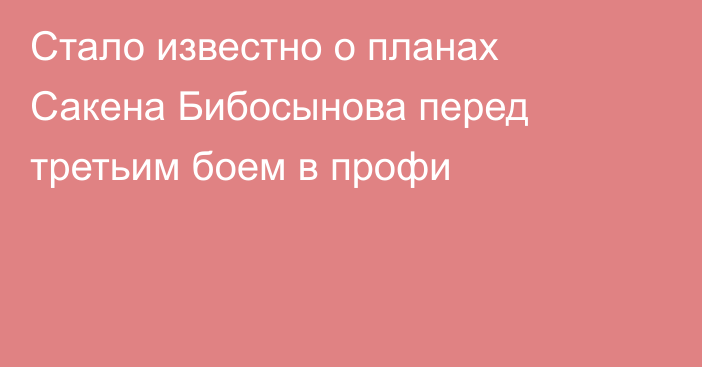 Стало известно о планах Сакена Бибосынова перед третьим боем в профи