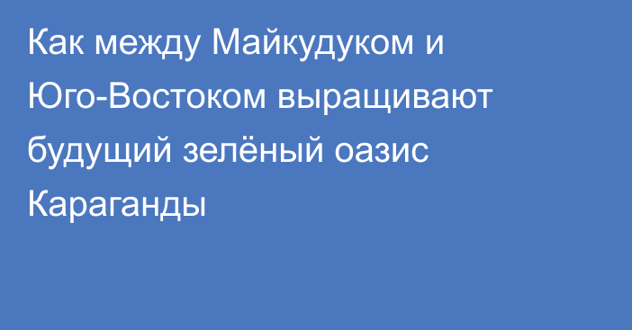 Как между Майкудуком и Юго-Востоком выращивают будущий зелёный оазис Караганды