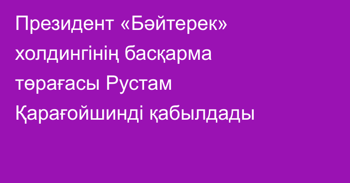 Президент «Бәйтерек» холдингінің басқарма төрағасы Рустам Қарағойшинді қабылдады