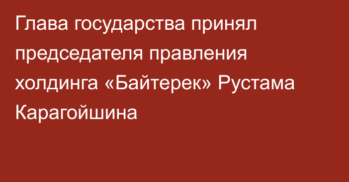 Глава государства принял председателя правления холдинга «Байтерек» Рустама Карагойшина
