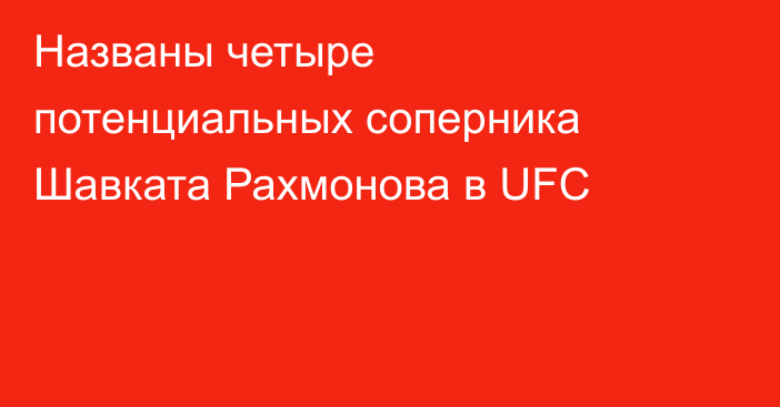 Названы четыре потенциальных соперника Шавката Рахмонова в UFC