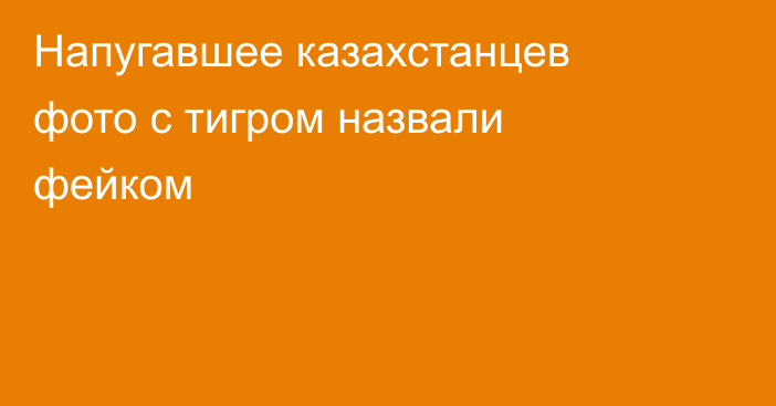 Напугавшее казахстанцев фото с тигром назвали фейком