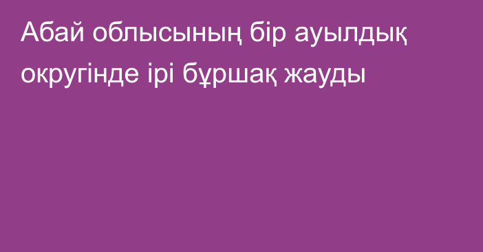Абай облысының бір  ауылдық округінде ірі бұршақ жауды
