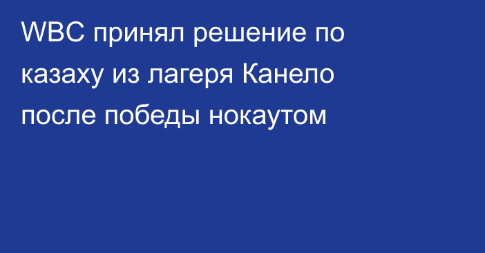 WBC принял решение по казаху из лагеря Канело после победы нокаутом