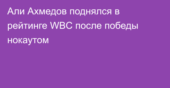 Али Ахмедов поднялся в рейтинге WBC после победы нокаутом