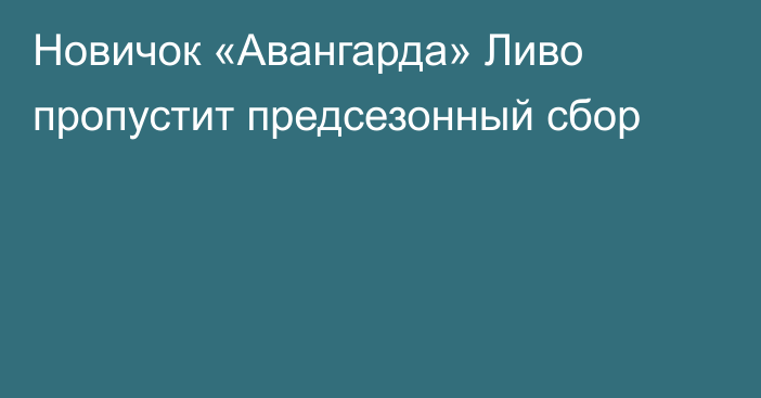 Новичок «Авангарда» Ливо  пропустит предсезонный сбор