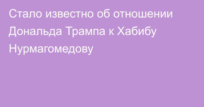 Стало известно об отношении Дональда Трампа к Хабибу Нурмагомедову