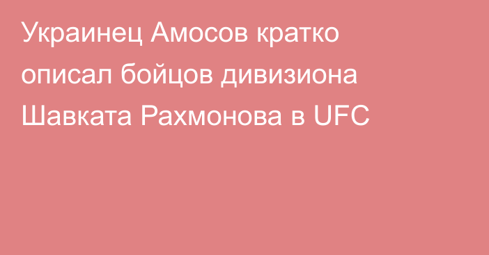 Украинец Амосов кратко описал бойцов дивизиона Шавката Рахмонова в UFC
