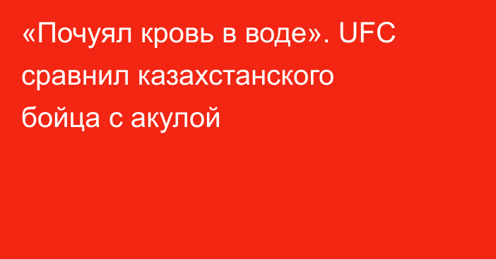 «Почуял кровь в воде». UFC сравнил казахстанского бойца с акулой