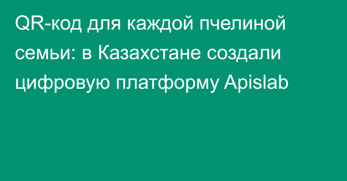 QR-код для каждой пчелиной семьи: в Казахстане создали цифровую платформу Apislab