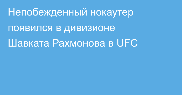 Непобежденный нокаутер появился в дивизионе Шавката Рахмонова в UFC