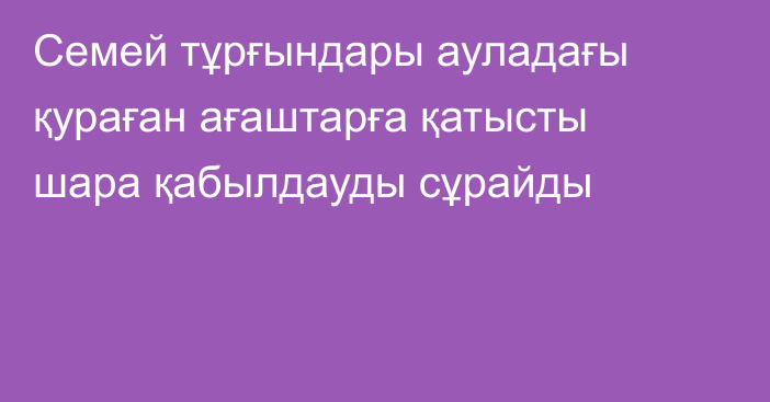 Семей тұрғындары ауладағы қураған ағаштарға қатысты шара қабылдауды сұрайды
