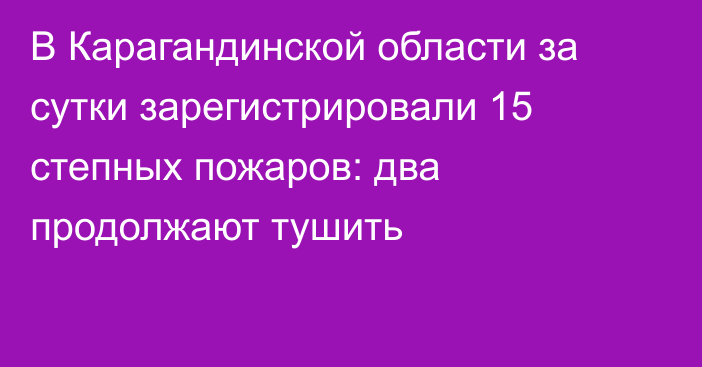 В Карагандинской области за сутки зарегистрировали 15 степных пожаров: два продолжают тушить