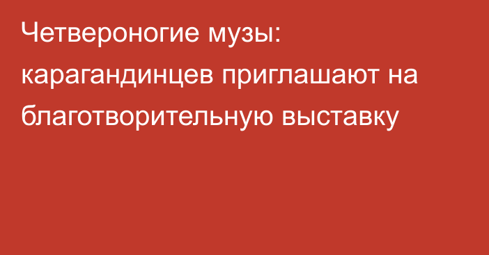 Четвероногие музы: карагандинцев приглашают на благотворительную выставку