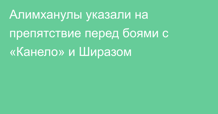 Алимханулы указали на препятствие перед боями с «Канело» и Ширазом