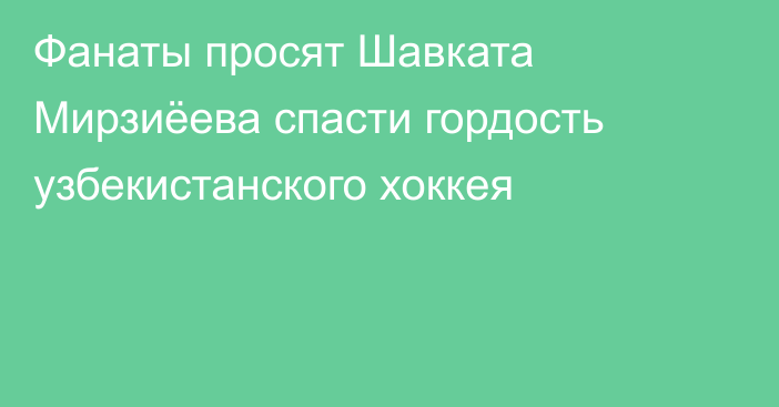 Фанаты просят Шавката Мирзиёева спасти гордость узбекистанского хоккея