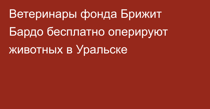 Ветеринары фонда Брижит Бардо бесплатно оперируют животных в Уральске