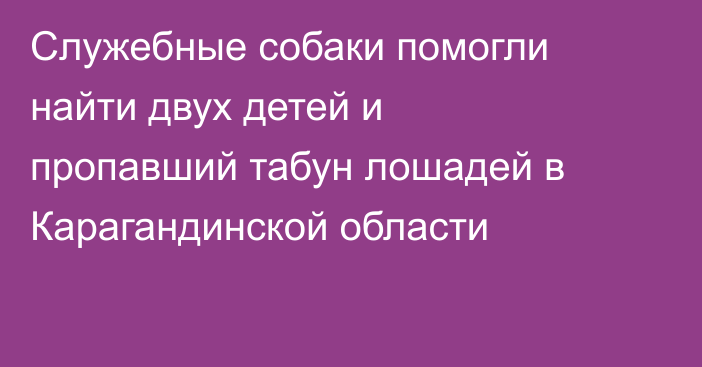 Служебные собаки помогли найти двух детей и пропавший табун лошадей в Карагандинской области