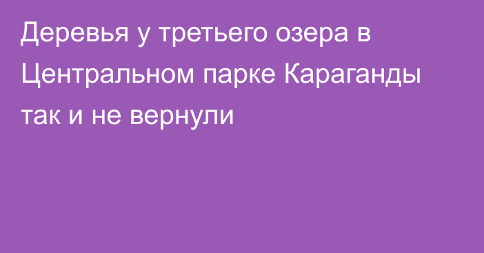 Деревья у третьего озера в Центральном парке Караганды так и не вернули