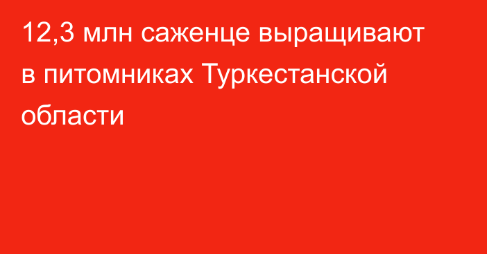 12,3 млн саженце выращивают в питомниках Туркестанской области