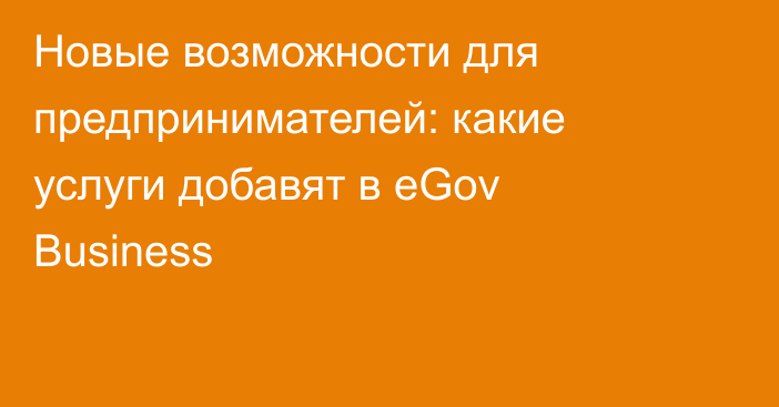 Новые возможности для предпринимателей: какие услуги добавят в eGov Business