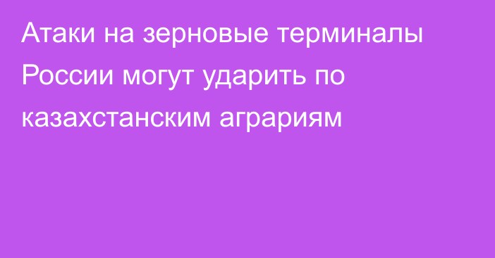 Атаки на зерновые терминалы России могут ударить по казахстанским аграриям