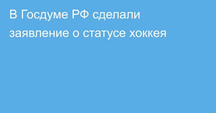 В Госдуме РФ сделали заявление о статусе хоккея