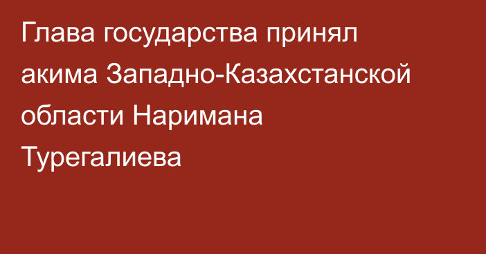 Глава государства принял акима Западно-Казахстанской области Наримана Турегалиева