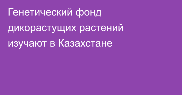 Генетический фонд дикорастущих растений изучают в Казахстане