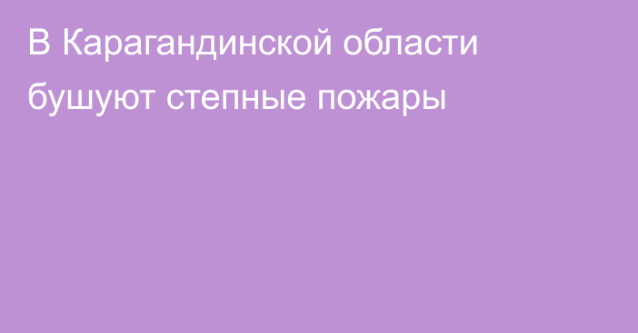 В Карагандинской области бушуют степные пожары