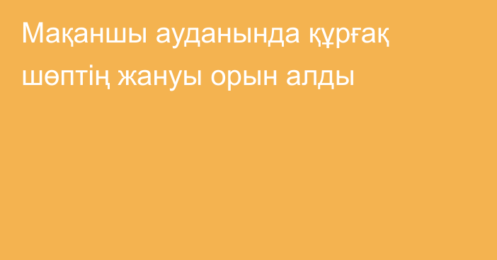 Мақаншы ауданында құрғақ шөптің жануы орын алды