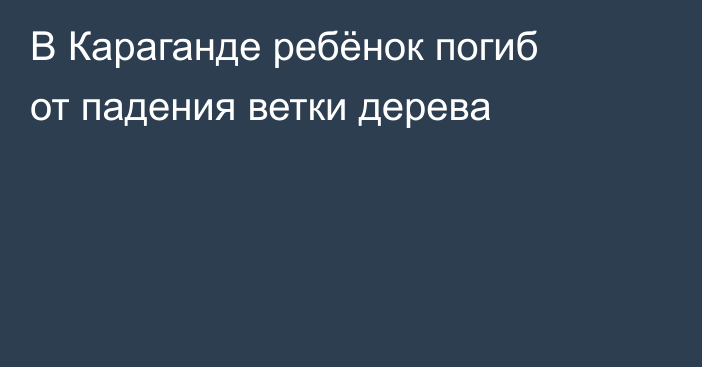 В Караганде ребёнок погиб от падения ветки дерева