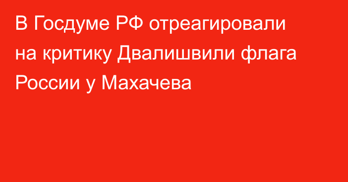 В Госдуме РФ отреагировали на критику Двалишвили флага России у Махачева