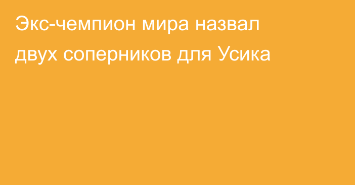 Экс-чемпион мира назвал двух соперников для Усика