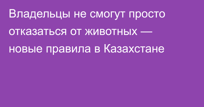 Владельцы не смогут просто отказаться от животных — новые правила в Казахстане