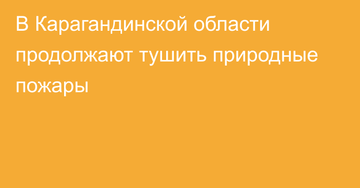 В Карагандинской области продолжают тушить природные пожары
