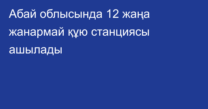 Абай облысында 12 жаңа жанармай құю станциясы ашылады