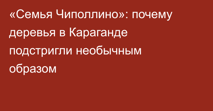 «Семья Чиполлино»: почему деревья в Караганде подстригли необычным образом