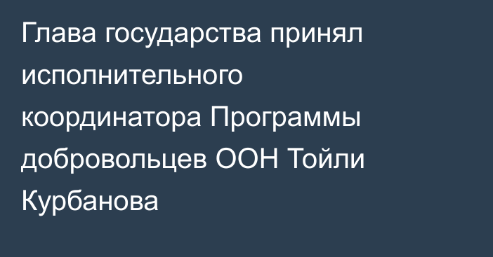 Глава государства принял исполнительного координатора Программы добровольцев ООН Тойли Курбанова