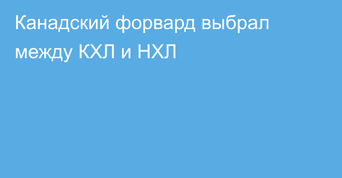 Канадский форвард выбрал между КХЛ и НХЛ
