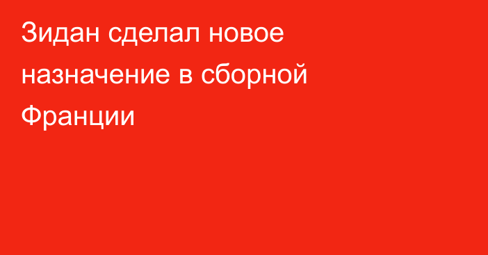 Зидан сделал новое назначение в сборной Франции